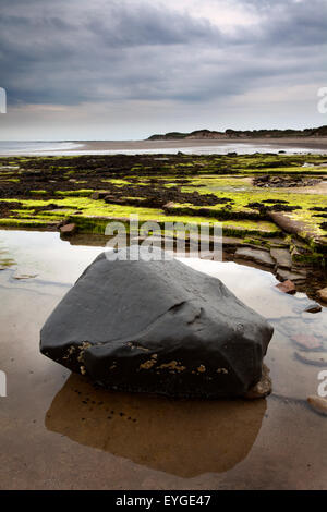 Schwarze Felsen am Strand von Wellhaugh Punkt schlendern durch das Meer Northumberland England Stockfoto