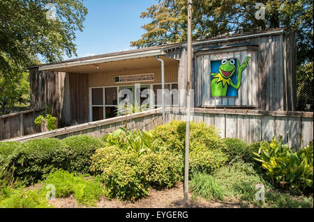 USA, Mississippi, Geburtsort von Kermit Frosch; Leland, Jim Henson Museum Stockfoto