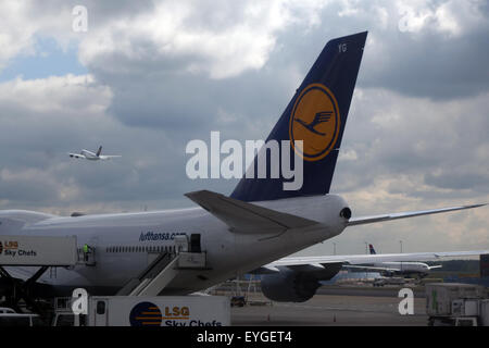 Frankfurt Am Main, Deutschland, Lufthansa-Flugzeuge auf dem Vorfeld des Flughafens Frankfurt Stockfoto