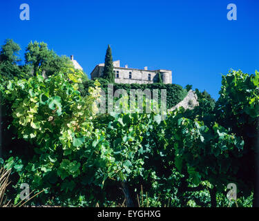 Côtes-du-Rhône Weingut und Schloss, Rousset-les-Vignes, Les Baronnies, Drôme, Provence, Frankreich, Europa Stockfoto