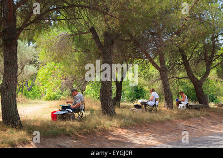 Künstler malen "Olive Orchard", dass Van Gogh malte in Saint Remy Stockfoto