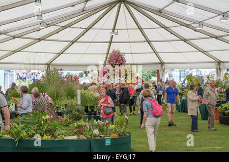 Indoor-Anlage Festzelt RHS Tatton Blumenschau 2015 Stockfoto