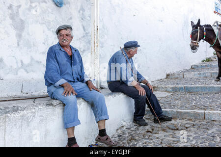 Eselfahrer, Männer, Senioren, Fira Santorini, griechische Insel, Griechenland ältere Menschen alte Männer Stockfoto