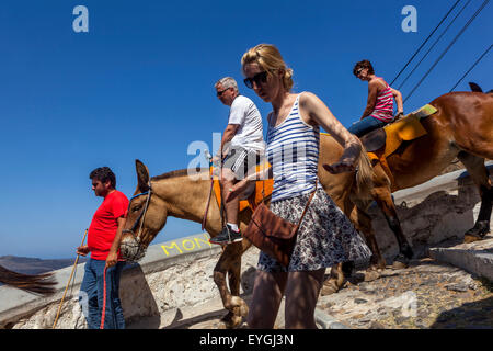 Esel tragen Touristen auf der Straße, die den Hafen mit der Stadt Fira Santorini, griechische Insel, Griechenland Stockfoto