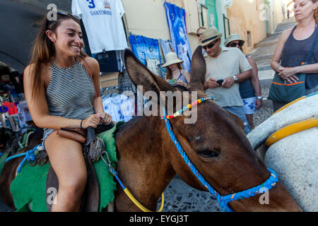 Lächelnde Frau auf einem Esel in der engen Straße der Altstadt von Thira, Santorini, griechische Insel, Griechenland Stockfoto