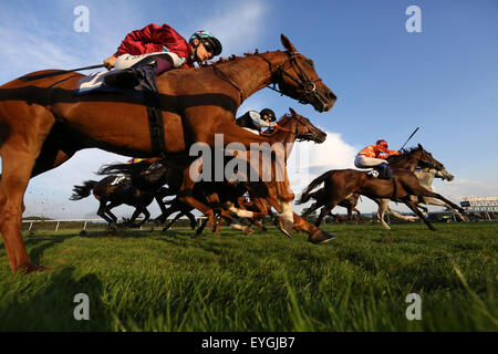 Iffezheim, Deutschland, Pferde und jockeys bei einem Galopp-Rennen in Aktion Stockfoto
