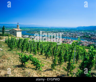 'Saint-Joseph'Côtes-du-Rhône Weinberge, St. Christophorus Kapelle, Tain-l'Hermitage, Drôme und Tournon-sur-Rhône, Ardèche, Rhône-Tal, Frankreich Europa Stockfoto