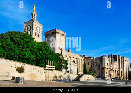 ein Blick auf das Palais des Papes, der Palast der Päpste in Avignon, Frankreich Stockfoto