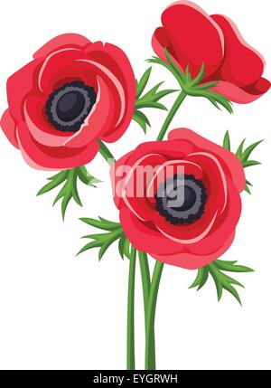 Rote Anemone Blumen. Vektor-Illustration. Stock Vektor