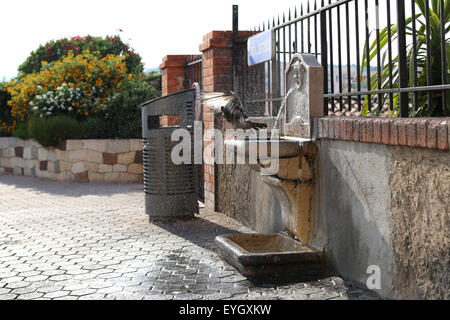 Eine taube Selbst waschen in einem öffentlichen Trinkbrunnen an einem heißen Tag im Süden Frankreichs Stockfoto