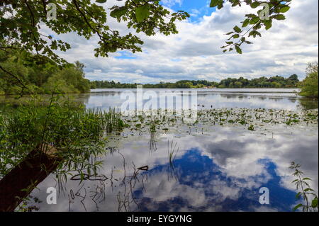 Mere, Ellesmere, Shropshire Stockfoto