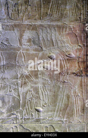 Luxor, Ägypten, Grab des Khaemhet Mahu (TT57) in den Adligen Gräbern im Asasif Nekropole: schönen Reliefs Stockfoto