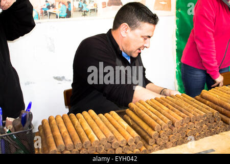 Eine lokale spanischer Mann demonstratesa Gruppe von Touristen wie zu Rollen und wickeln Sie handgemachte Zigarren. Stockfoto