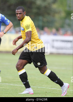 Udine, Italien. 29. Juli 2015. Udinese vorwärts Duvan Zapata während der freundlichen Vorsaison Fußballspiels Udinese Calcio V Clodiense am 29. Juli 2015 im Bruseschi Trainingscenter in Udine, Italien. Bildnachweis: Andrea Spinelli/Alamy Live-Nachrichten Stockfoto