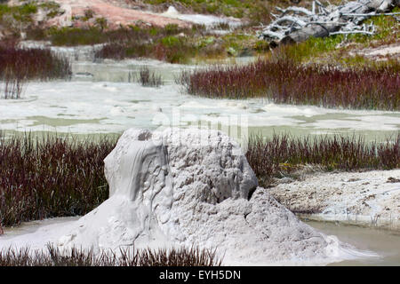 Ein Schlamm-Kegel an den Daumen Farbtöpfe an West Thumb Geyser Basin in Yellowstone Stockfoto
