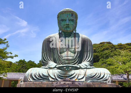 Der große Buddha von Kamakura, eine Statue von Amida Buddha, bekannt als Daibutsu im Kotokuin-Tempel in Kamakura in der Nähe von Tokio, Japan Stockfoto