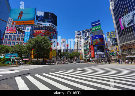 Die Fußgängerampel an der Kreuzung in Shibuya, Tokyo, Japan Stockfoto