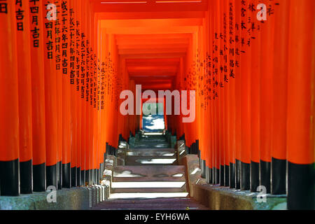 Roten Torii Tor Tunnel am Hie-Jinja Shinto Schrein, Tokyo, Japan Stockfoto