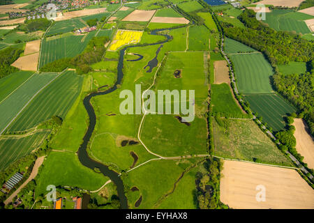 Renaturierung, Mäander des Flusses Lippe, LIFE + Projekt Lippeaue, Hamm, Ruhrgebiet, Nordrhein-Westfalen, Deutschland Stockfoto