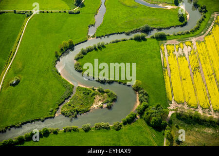 Renaturierung, Mäander des Flusses Lippe, LIFE + Projekt Lippeaue, Hamm, Ruhrgebiet, Nordrhein-Westfalen, Deutschland Stockfoto