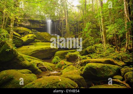 Schönen Wasserfall fällt über moosige Felsen im tropischen Regenwald, Thailand. Stockfoto