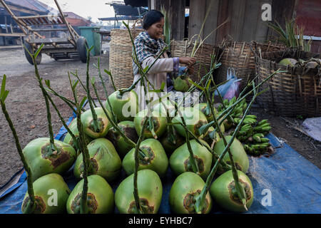 Frau verkauft Kokosnüsse auf dem Markt in Nyaungshwe, Shan State in Myanmar Stockfoto