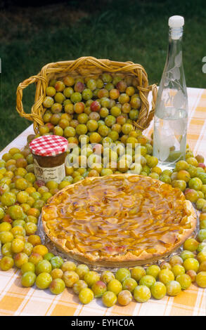 Frankreich, Mosel (57), Korb mit frischen Mirabellen Pflaumen Früchte mit Likör, Marmelade und Kuchen / / Mosel (57), panier de Mirabellen f Stockfoto