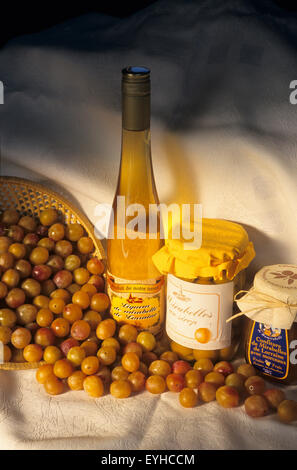 Frankreich, Mosel (57), Korb mit frischen Mirabellen Pflaumen Früchte mit Likör und Marmelade / / Mosel (57), panier de Mirabellen Fraich Stockfoto