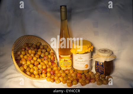 Frankreich, Mosel (57), Korb mit frischen Mirabellen Pflaumen Früchte mit Likör und Marmelade / / Mosel (57), panier de Mirabellen Fraich Stockfoto