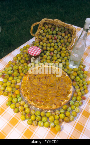 Frankreich, Mosel (57), Korb mit frischen Mirabellen Pflaumen Früchte mit Likör, Marmelade und Kuchen / / Mosel (57), panier de Mirabellen f Stockfoto