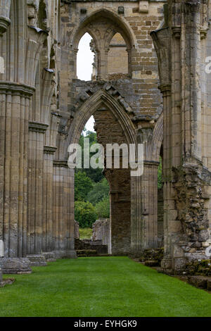 Einige Säulen und Bögen in Rievaulx Abtei. Stockfoto