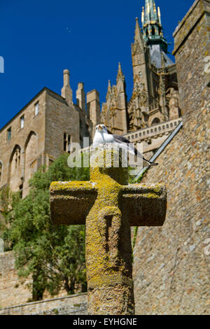 Möwe auf ein altes steinernes Kreuz auf dem Friedhof der Insel Le Mont Saint-Michel Stockfoto