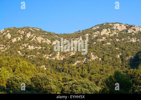 Steinige Naturlandschaft mit Vegetation in der Sierra de Tramuntana, Mallorca, Balearen, Spanien im Juli. Stockfoto