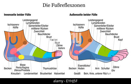 Fuß-Reflexzonenmassage Chart - innen und außen Sicht auf die Füße - deutscher Sprache. Stockfoto