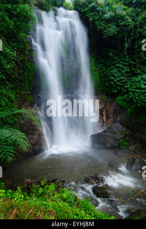 Munduk Wasserfall, Bali, Indonesien, Pazifischer Ozean Stockfoto