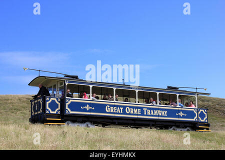 Großes Orme Straßenbahn Stockfoto