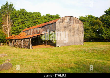 Rostige alte Scheune in Compton Bassett, in der Nähe von Calne, Wiltshire, England, UK Stockfoto