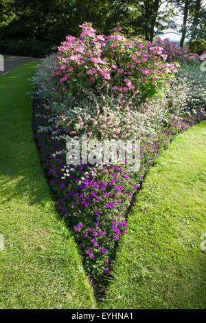 Richmond Park, England. Bunten Blumenbeet in ein "V" Form, in voller Blüte. Stockfoto