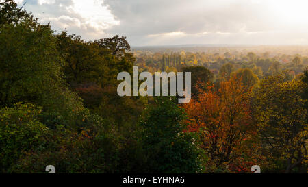 Richmond Park, England. Bright Blick über Surrey, Herbst; Wechsel der Jahreszeiten. Stockfoto