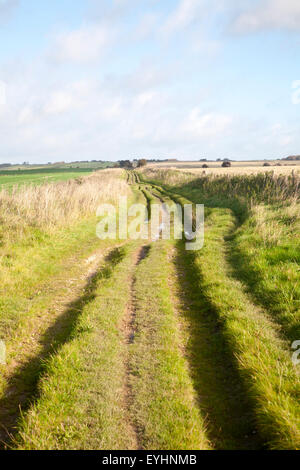 Der Ridgeway Langstrecken-Wanderweg aus Vorgeschichte auf Overton Hill, Marlborough Downs, Wiltshire, England, UK Stockfoto