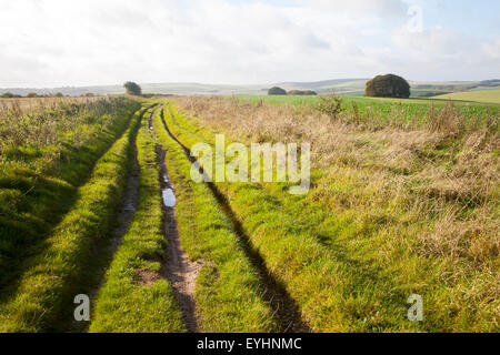 Der Ridgeway Langstrecken-Wanderweg aus Vorgeschichte auf Overton Hill, Marlborough Downs, Wiltshire, England, UK Stockfoto