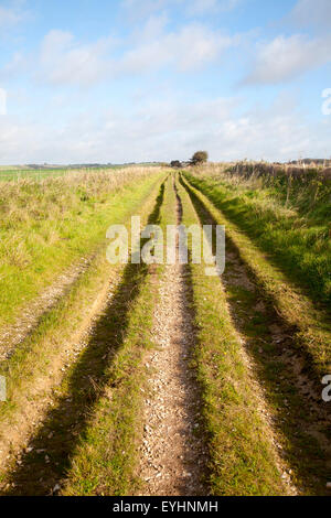 Der Ridgeway Langstrecken-Wanderweg aus Vorgeschichte auf Overton Hill, Marlborough Downs, Wiltshire, England, UK Stockfoto