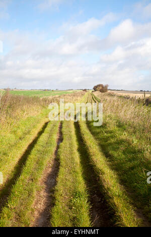 Der Ridgeway Langstrecken-Wanderweg aus Vorgeschichte auf Overton Hill, Marlborough Downs, Wiltshire, England, UK Stockfoto