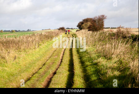 Der Ridgeway Langstrecken-Wanderweg aus Vorgeschichte auf Overton Hill, Marlborough Downs, Wiltshire, England, UK Stockfoto