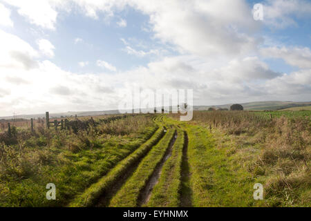 Der Ridgeway Langstrecken-Wanderweg aus Vorgeschichte auf Overton Hill, Marlborough Downs, Wiltshire, England, UK Stockfoto