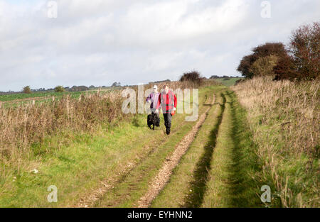 Der Ridgeway Langstrecken-Wanderweg aus Vorgeschichte auf Overton Hill, Marlborough Downs, Wiltshire, England, UK Stockfoto