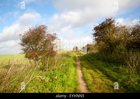 Der Ridgeway Langstrecken-Wanderweg aus Vorgeschichte auf Overton Hill, Marlborough Downs, Wiltshire, England, UK Stockfoto