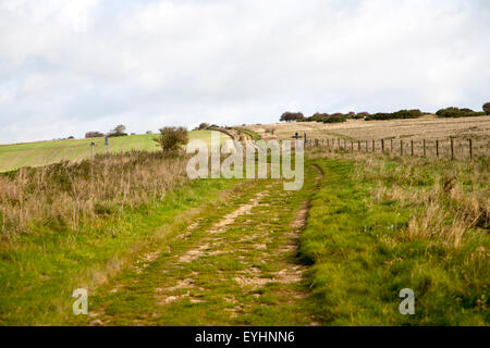 Der Ridgeway Langstrecken-Wanderweg aus Vorgeschichte auf Overton Hill, Marlborough Downs, Wiltshire, England, UK Stockfoto