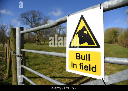 Elefant im Feld Warnung melden, England, UK Stockfoto