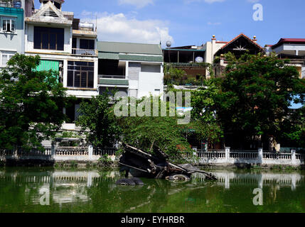 Das B52-Bomber-Wrack Huu Tiep See, Hanoi, Vietnam. Stockfoto